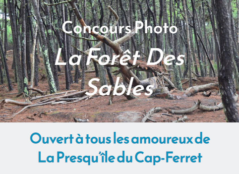 Concours photo La Forêt des Sables - Lège-Cap Ferret