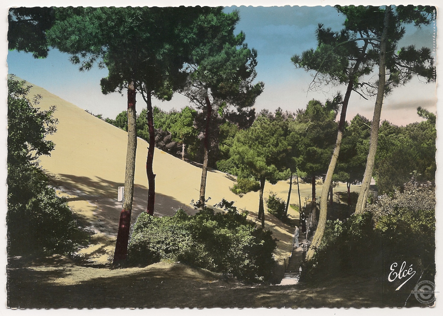 Lège Cap Ferret