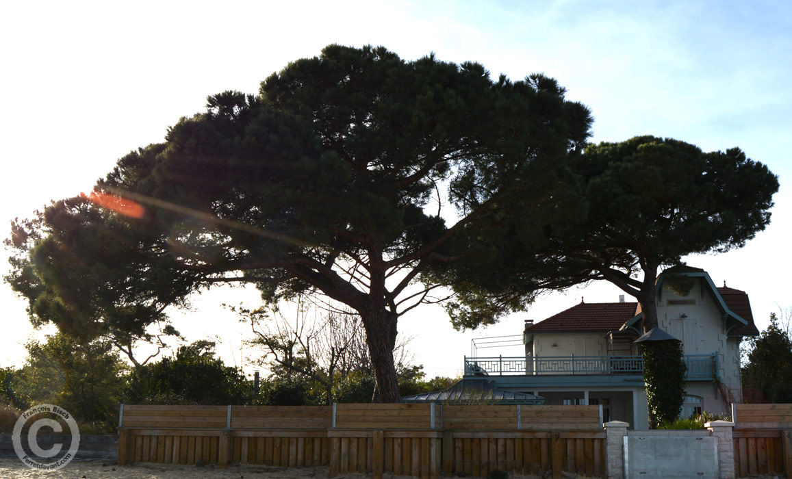 Lège Cap Ferret