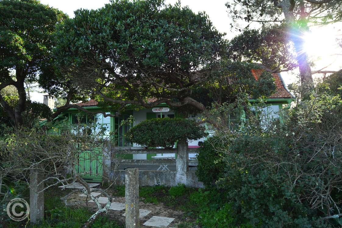 Lège Cap Ferret