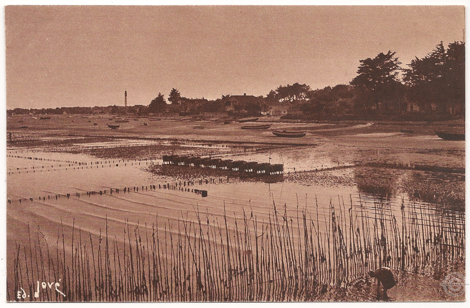 Lège Cap Ferret