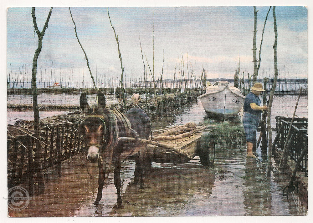 Lège Cap Ferret