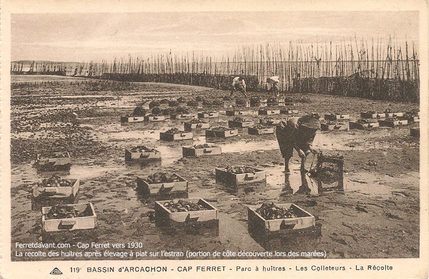 Lège Cap Ferret