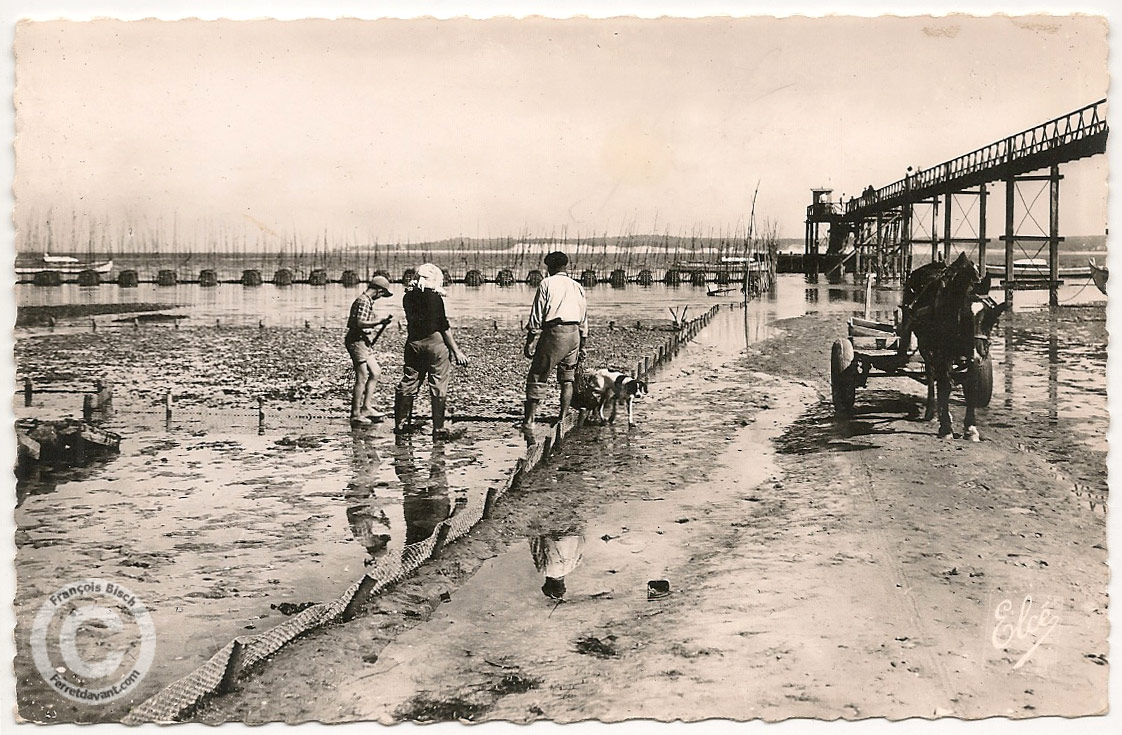 Lège Cap Ferret