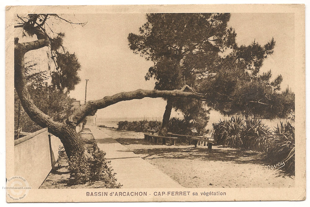 Lège Cap Ferret