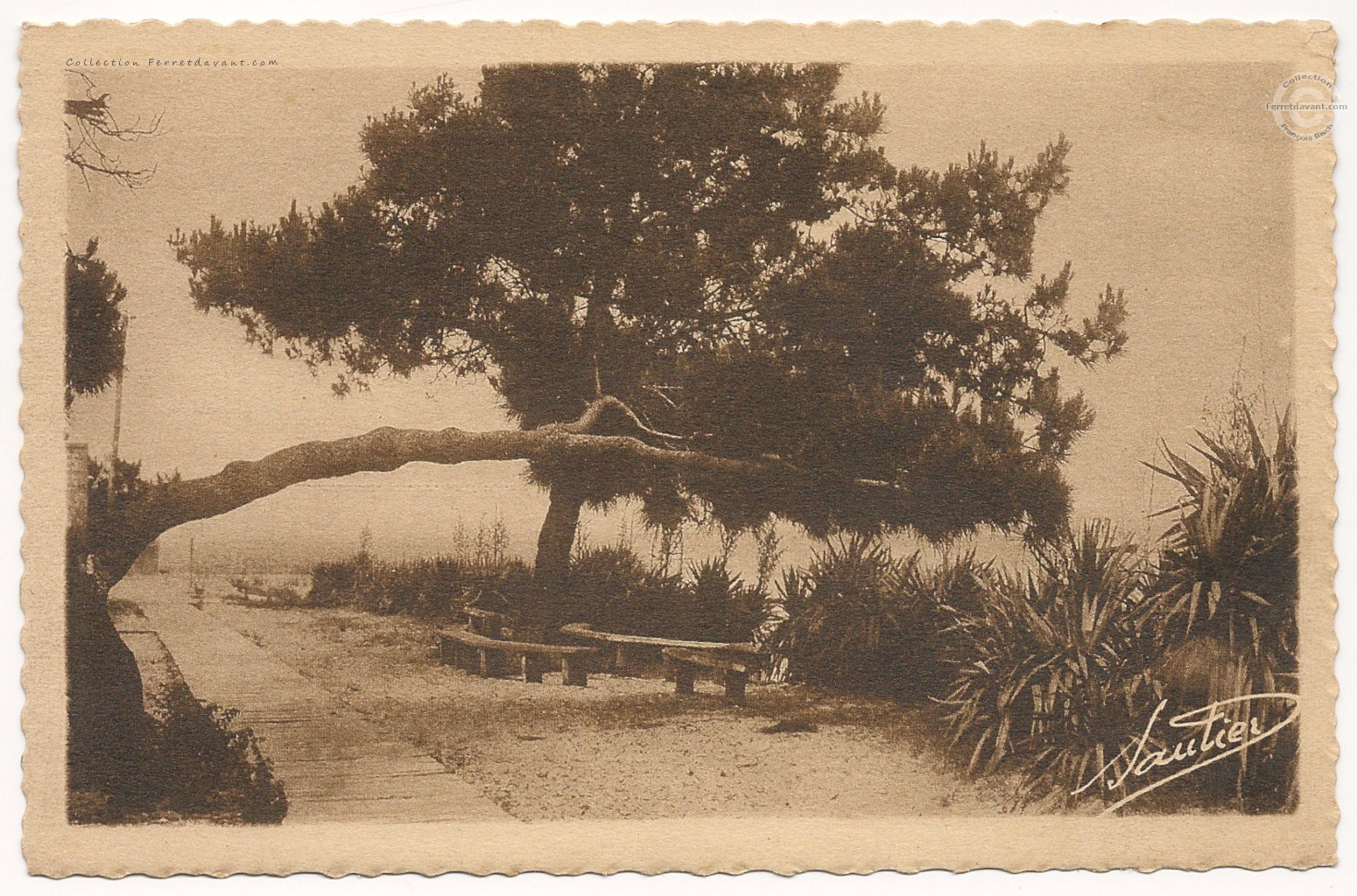 Lège Cap Ferret