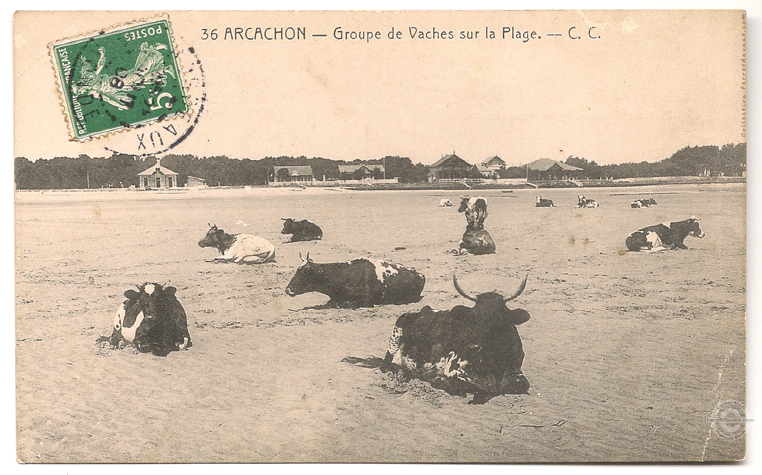 Lège Cap Ferret