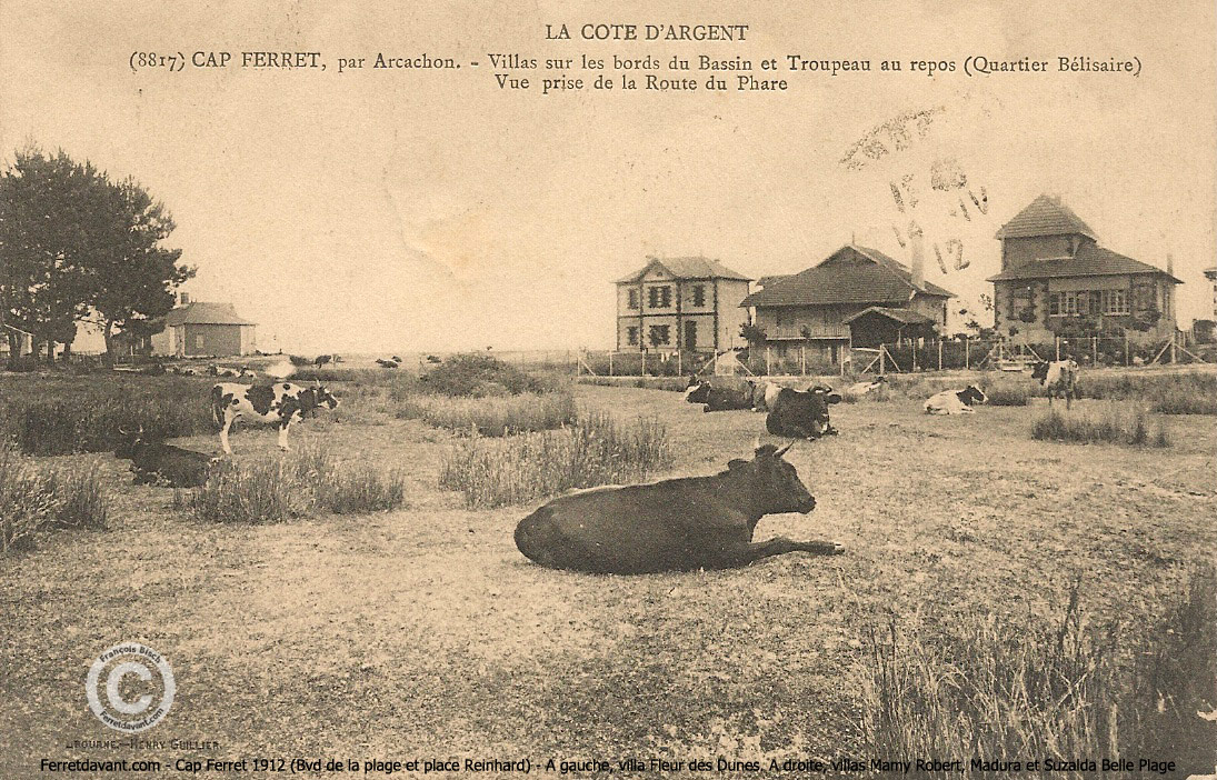 Lège Cap Ferret