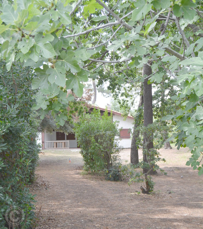 Lège Cap Ferret