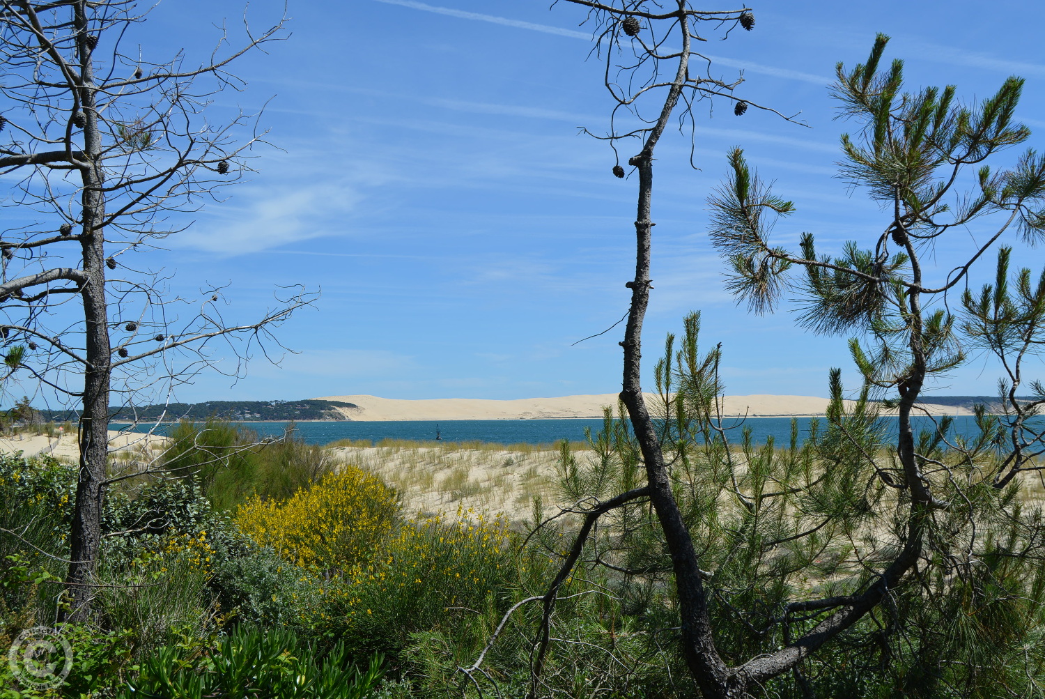 Lège Cap Ferret