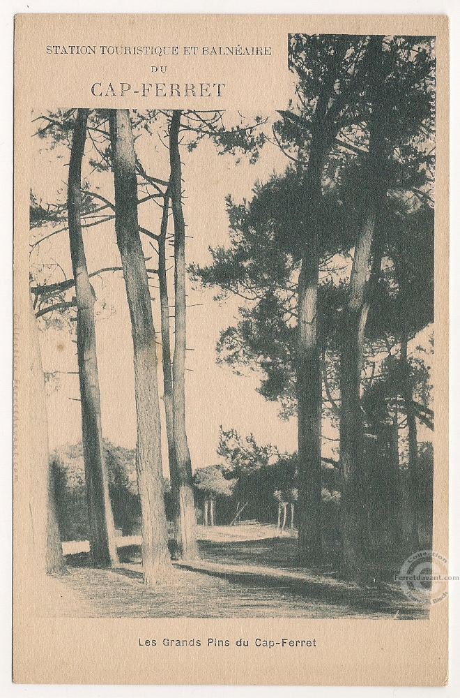 Lège Cap Ferret - cap-ferret