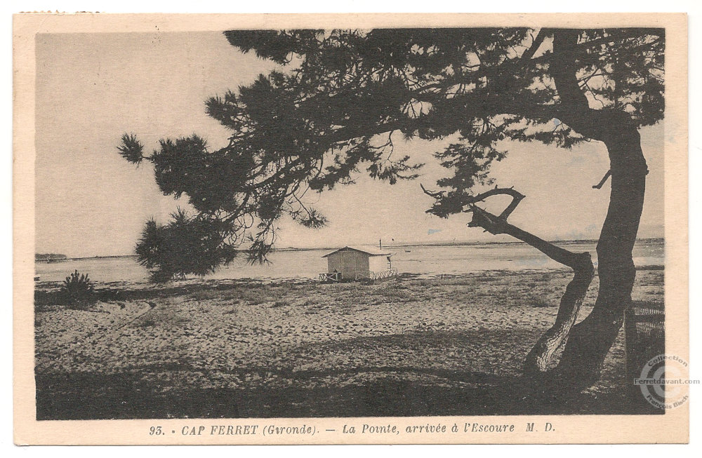 Lège Cap Ferret