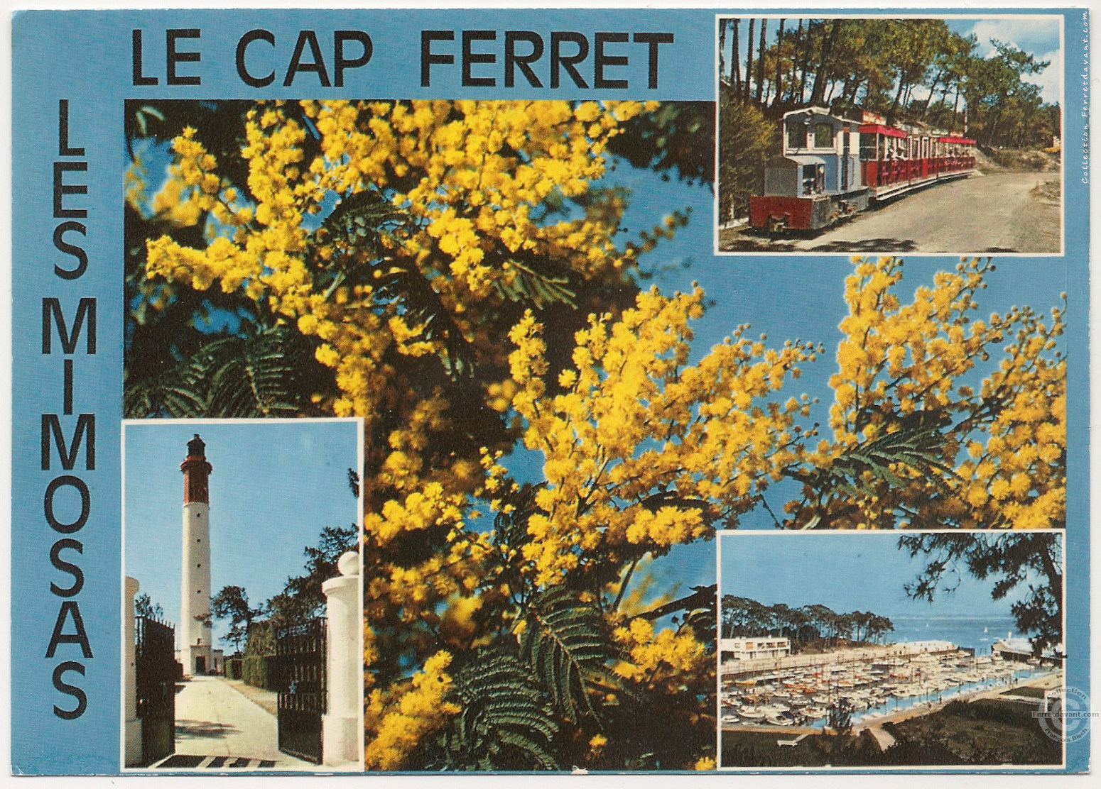 Lège Cap Ferret