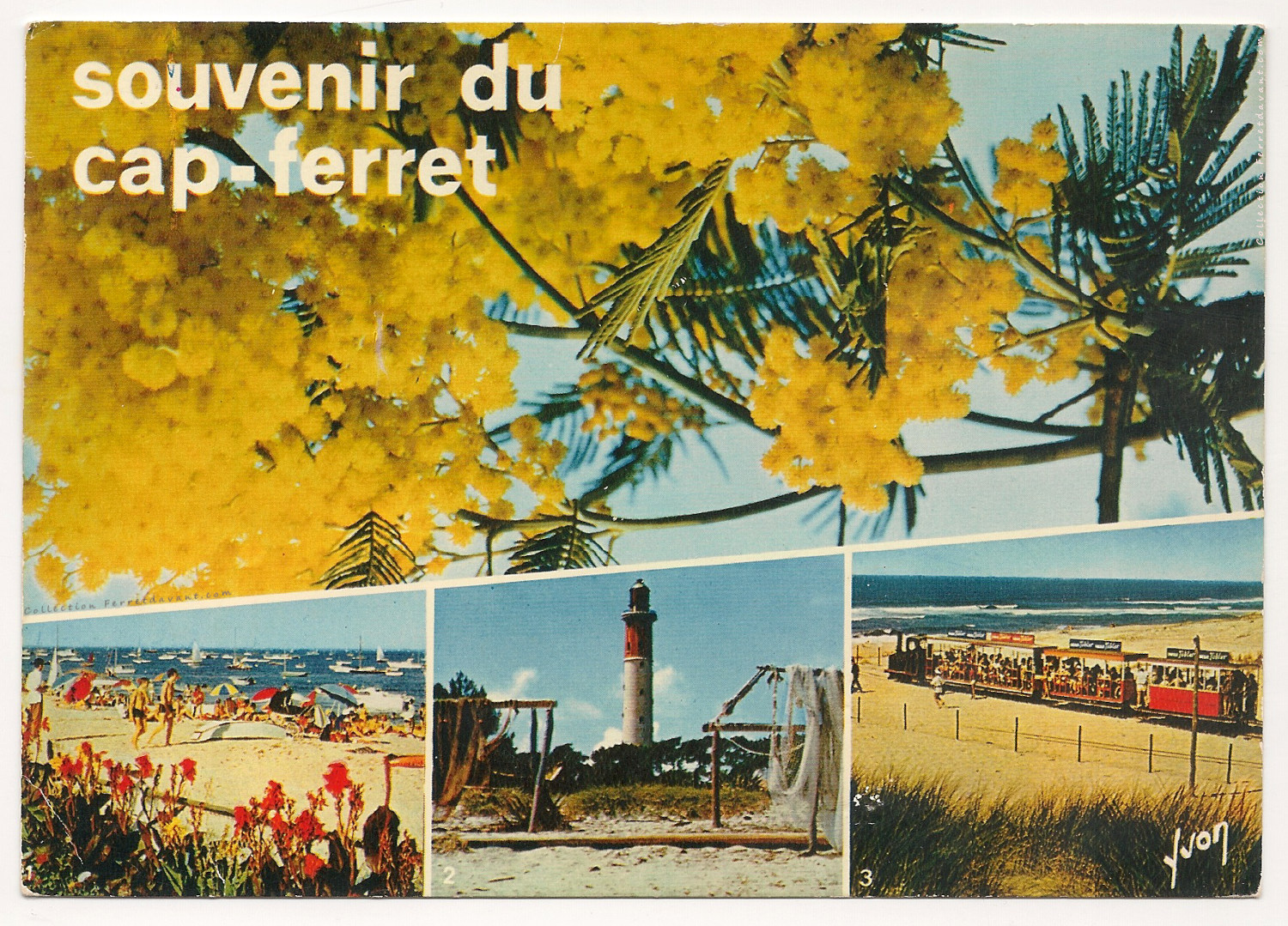 Lège Cap Ferret