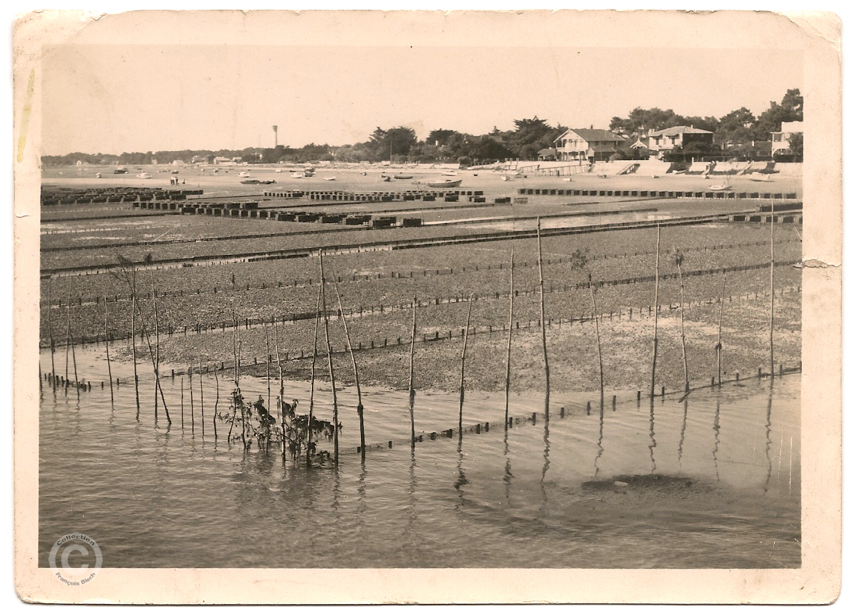 Lège Cap Ferret