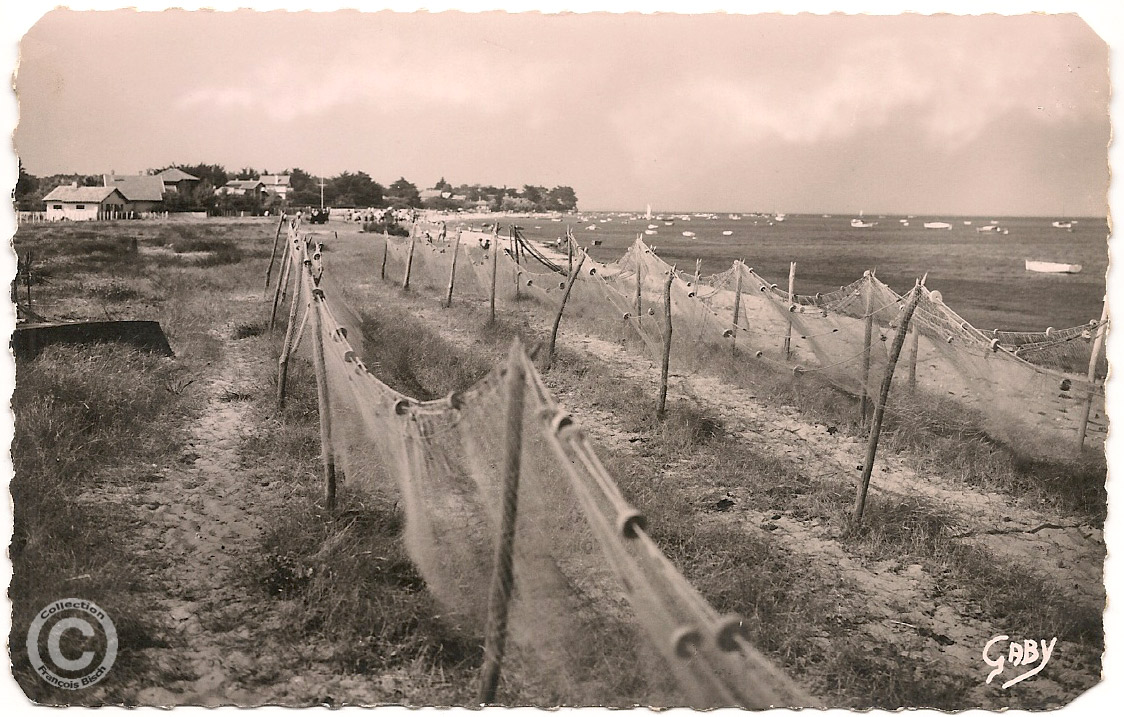 Lège Cap Ferret