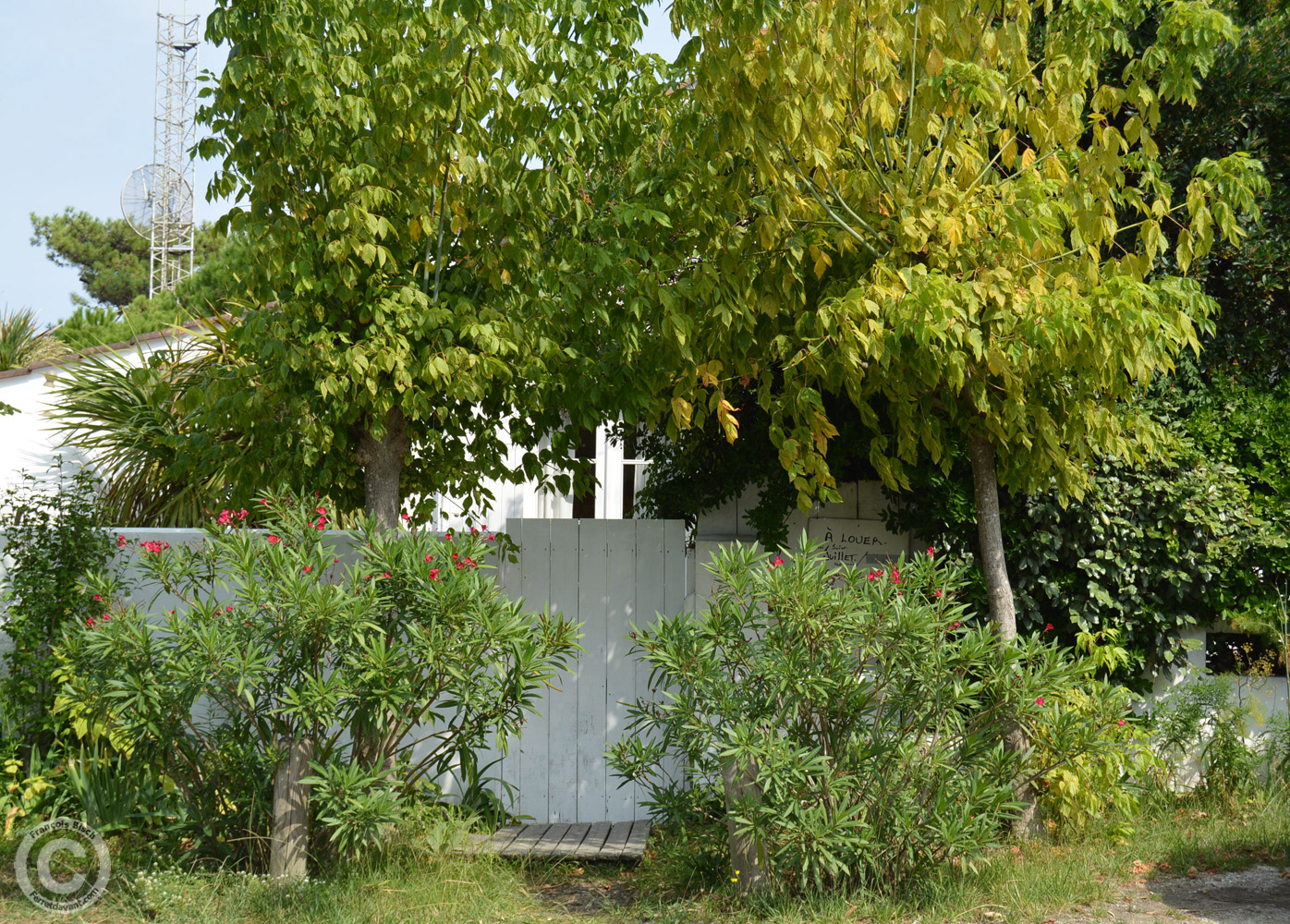 Villa de Lège Cap Ferret