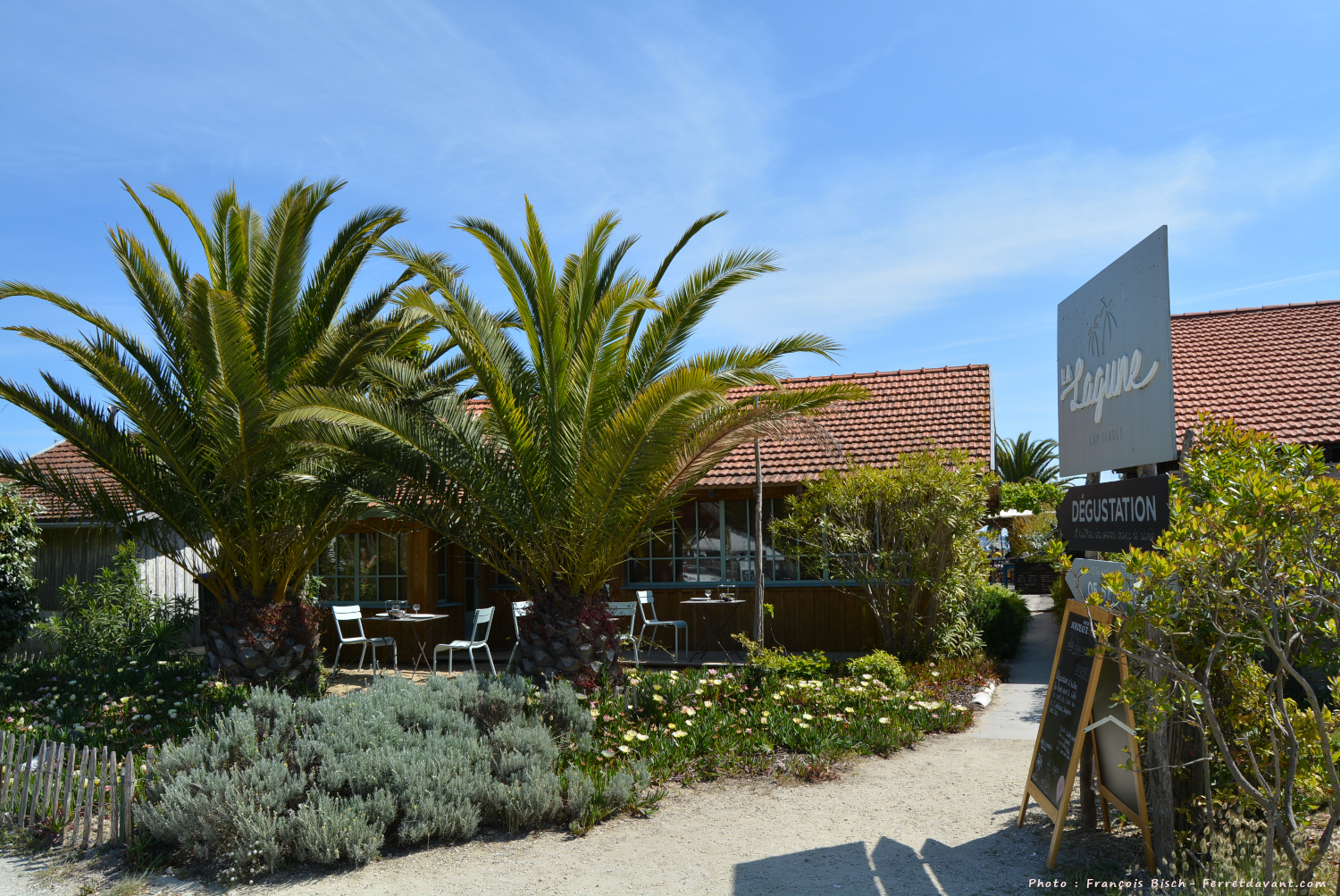 Villa de Lège Cap Ferret
