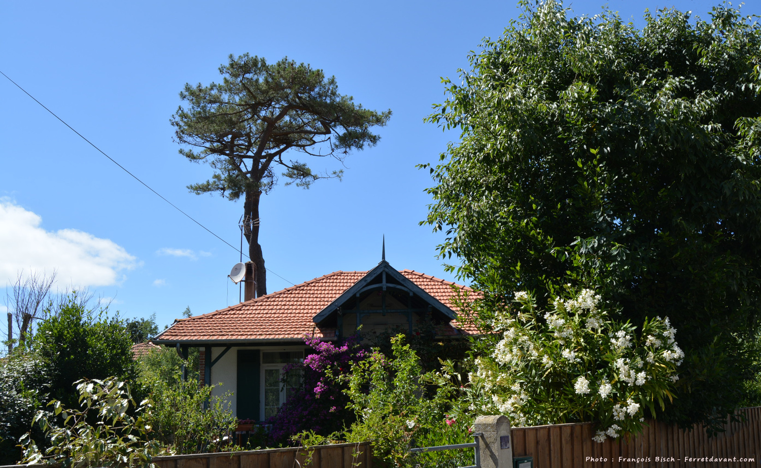 Villa de Lège Cap Ferret