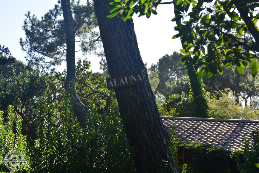 Villa de Lège Cap Ferret