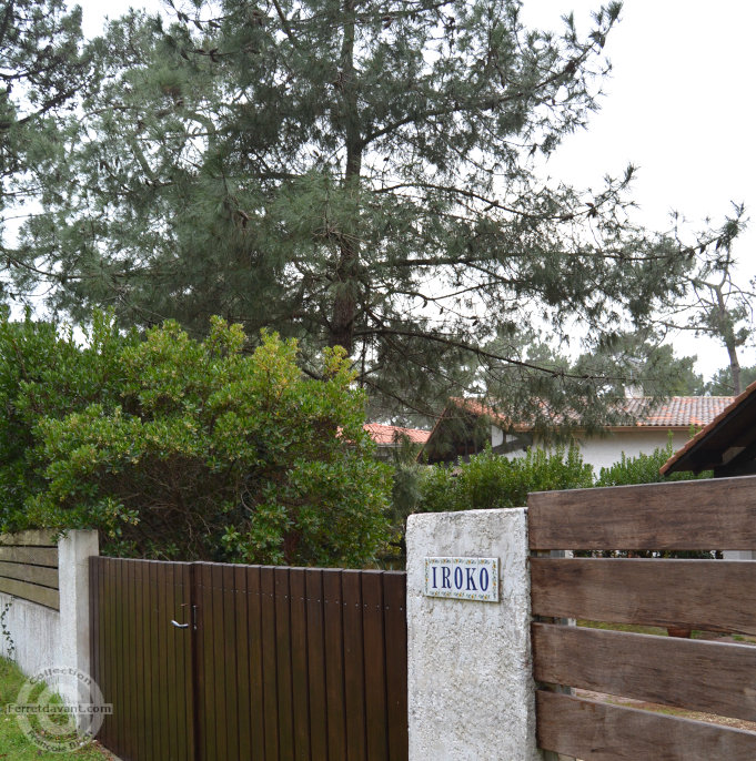 Villa de Lège Cap Ferret