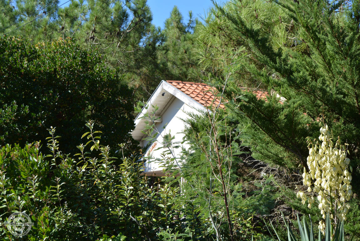 Villa de Lège Cap Ferret