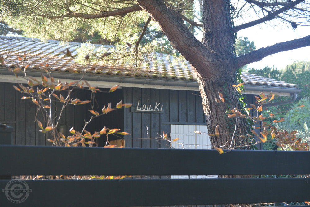 Villa de Lège Cap Ferret