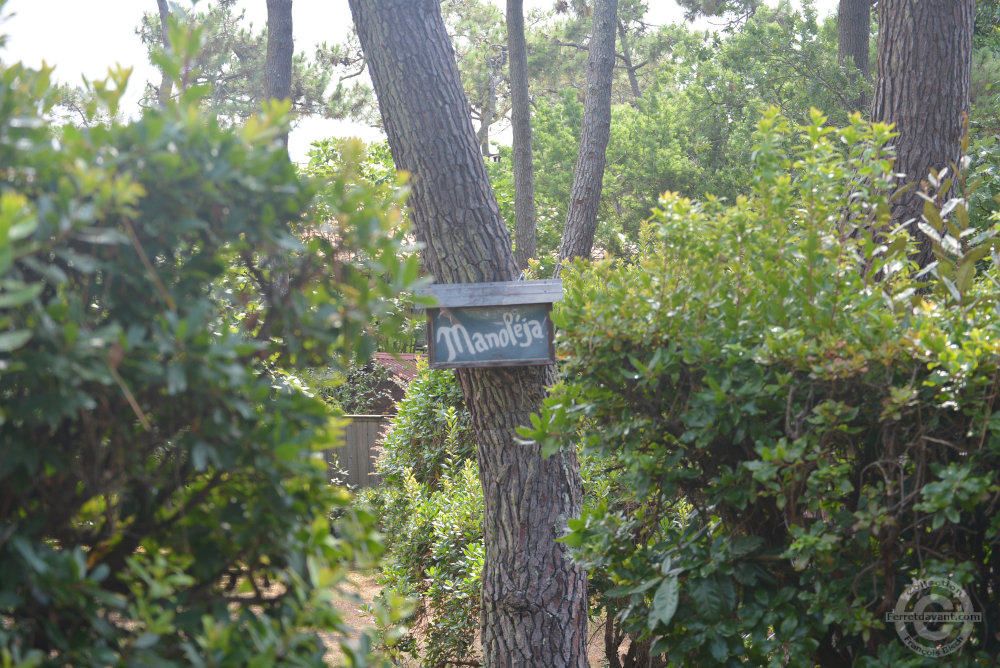 Villa de Lège Cap Ferret