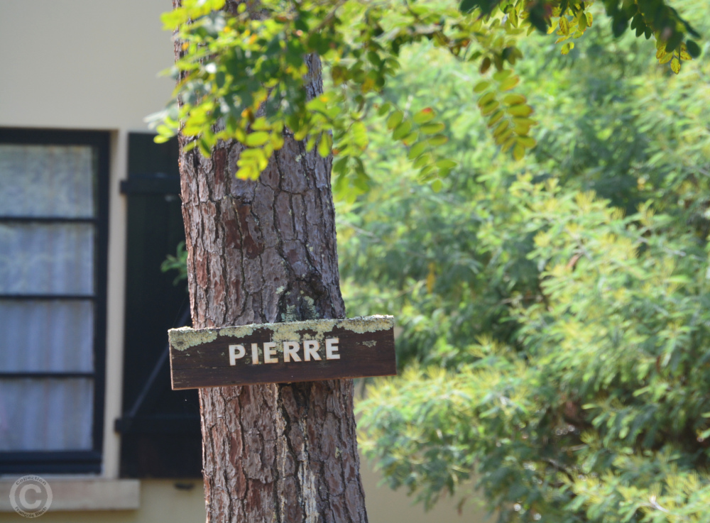 Villa de Lège Cap Ferret