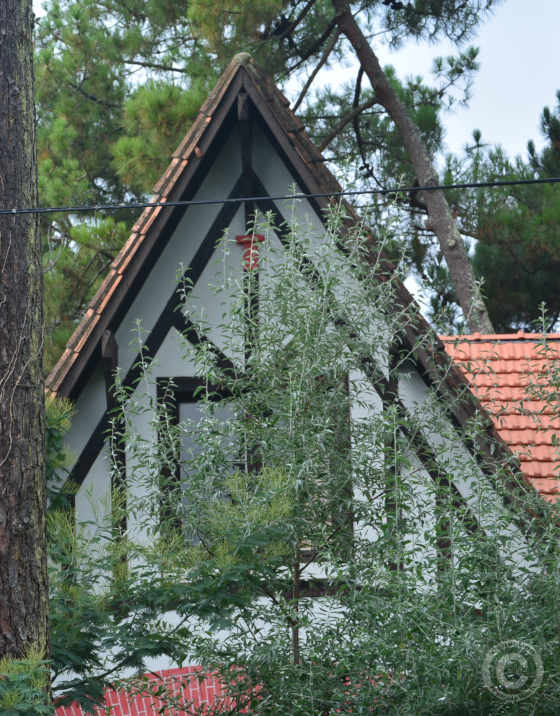 Villa de Lège Cap Ferret