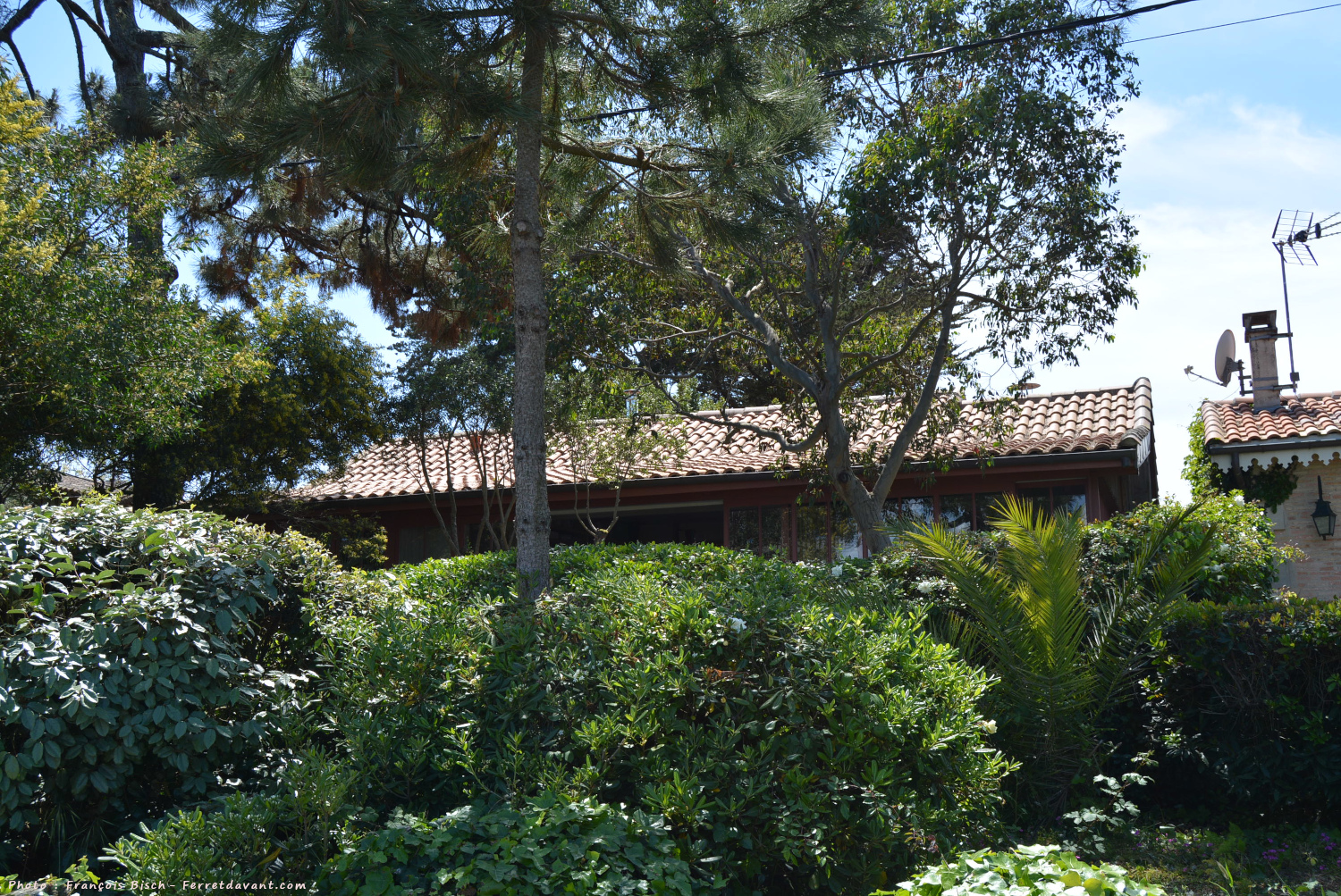 Villa de Lège Cap Ferret