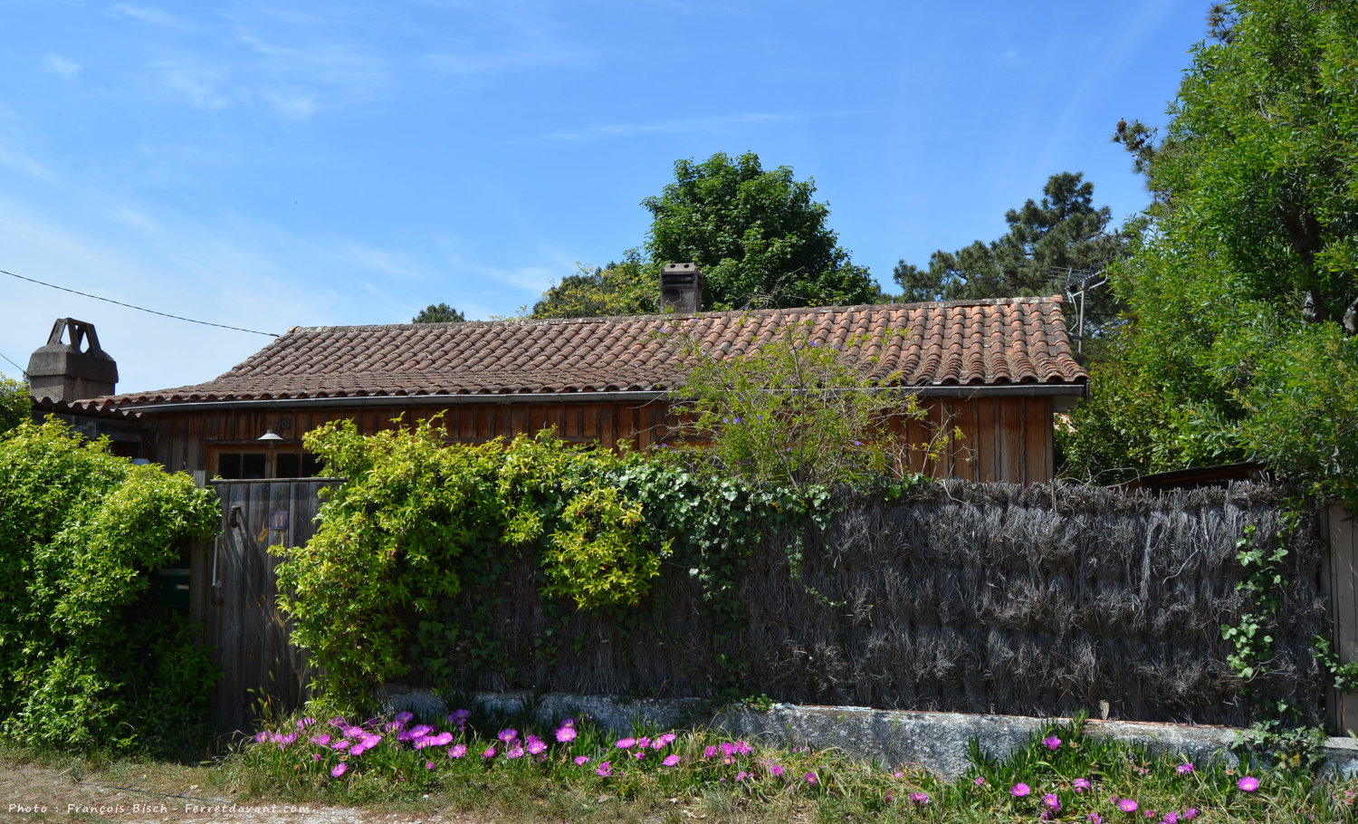Villa de Lège Cap Ferret