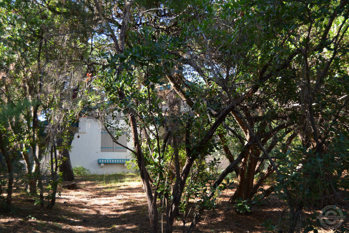 Villa de Lège Cap Ferret