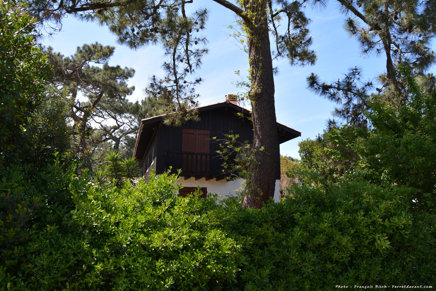 Villa de Lège Cap Ferret