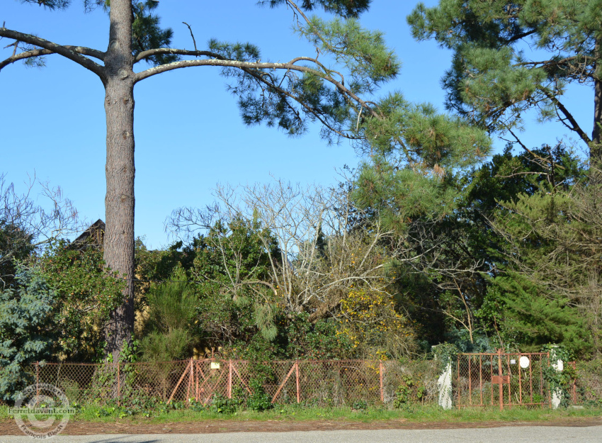 La villa Moustic de Claouey - Ferretdavant.com - Bassin d'Arcachon