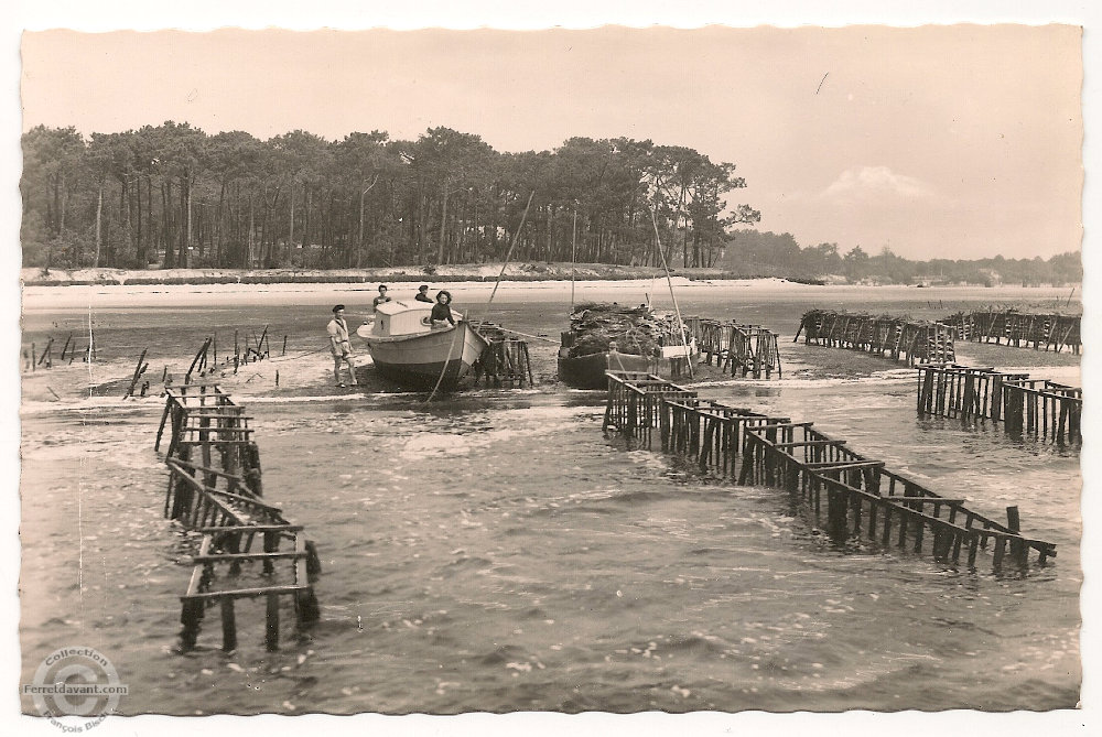 Lège Cap Ferret