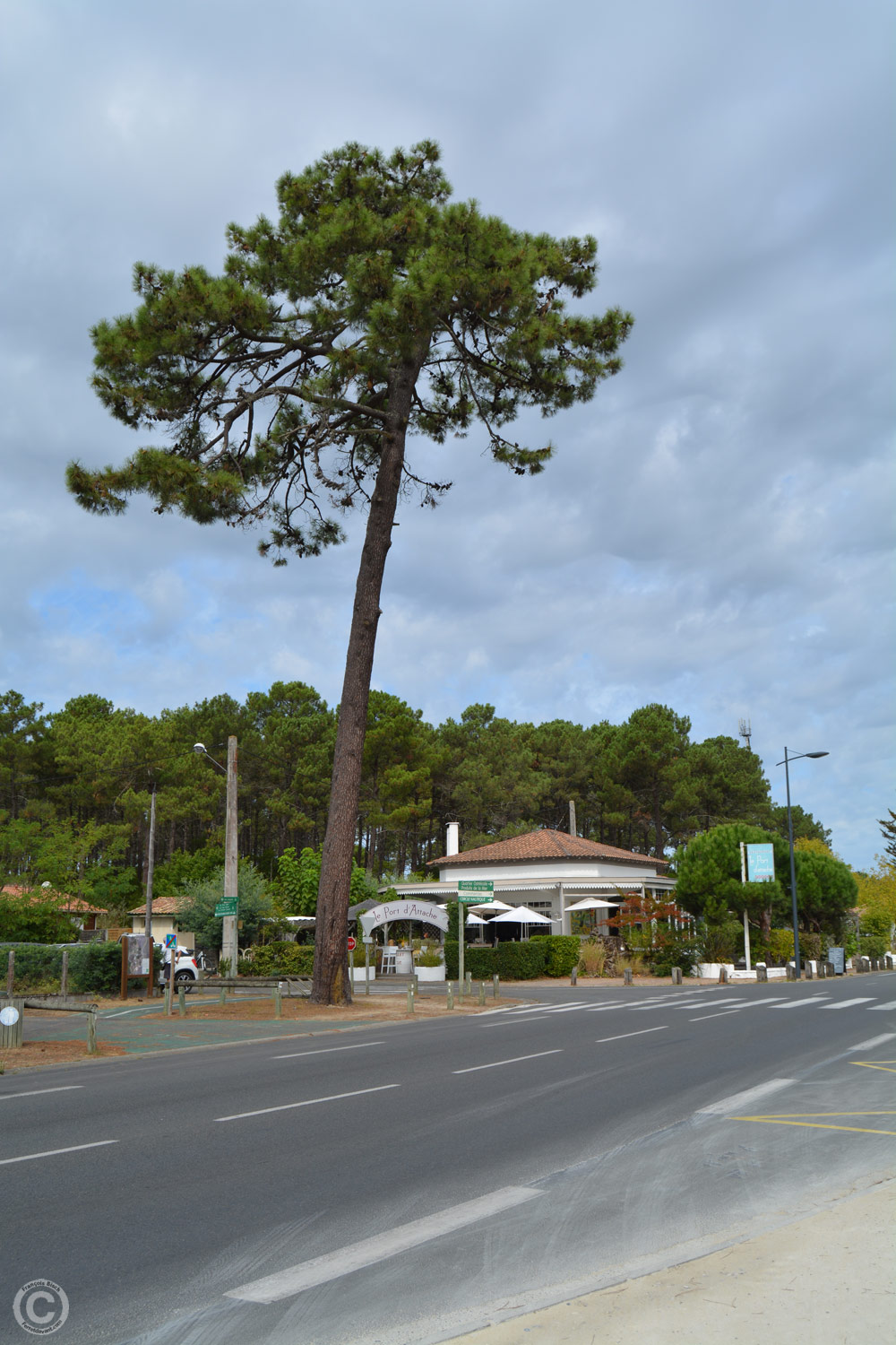 Lège Cap Ferret