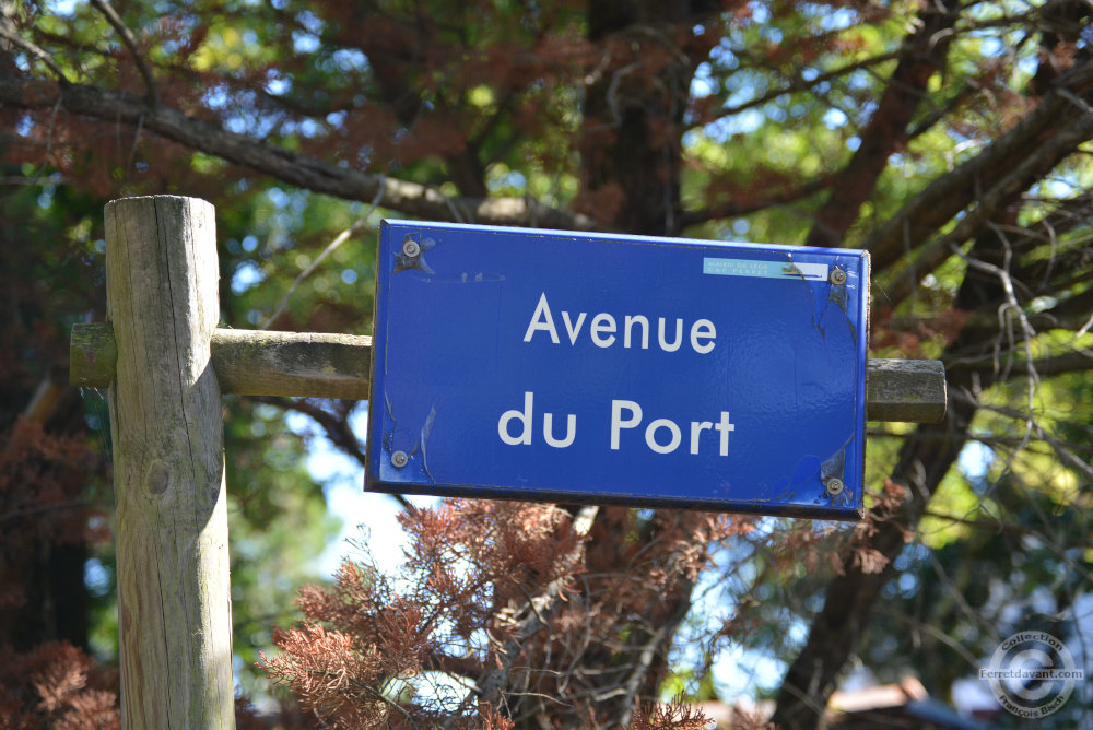 Rue de Lège Cap Ferret