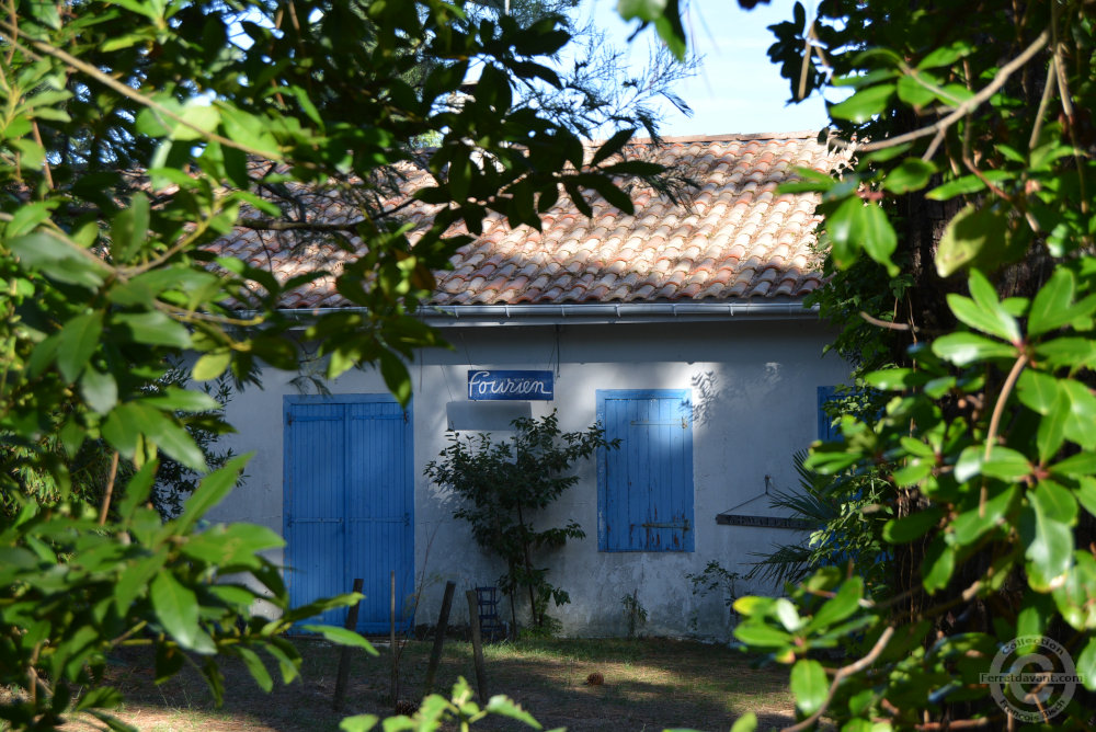 Villa de Lège Cap Ferret