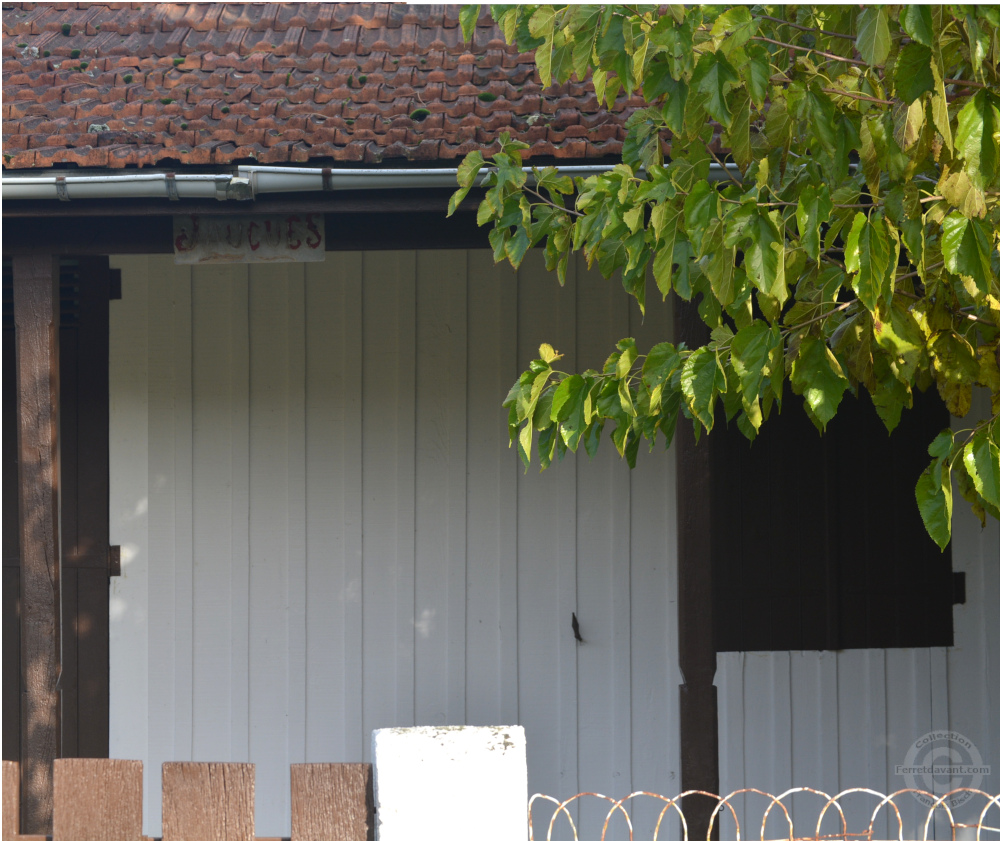 Villa de Lège Cap Ferret