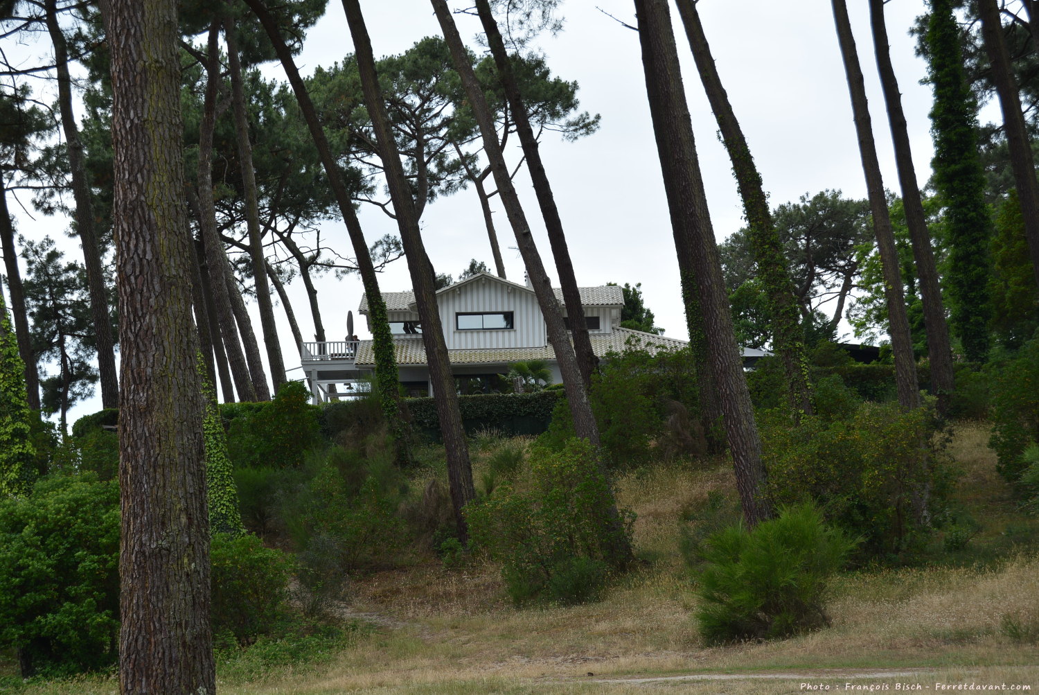 Villa de Lège Cap Ferret