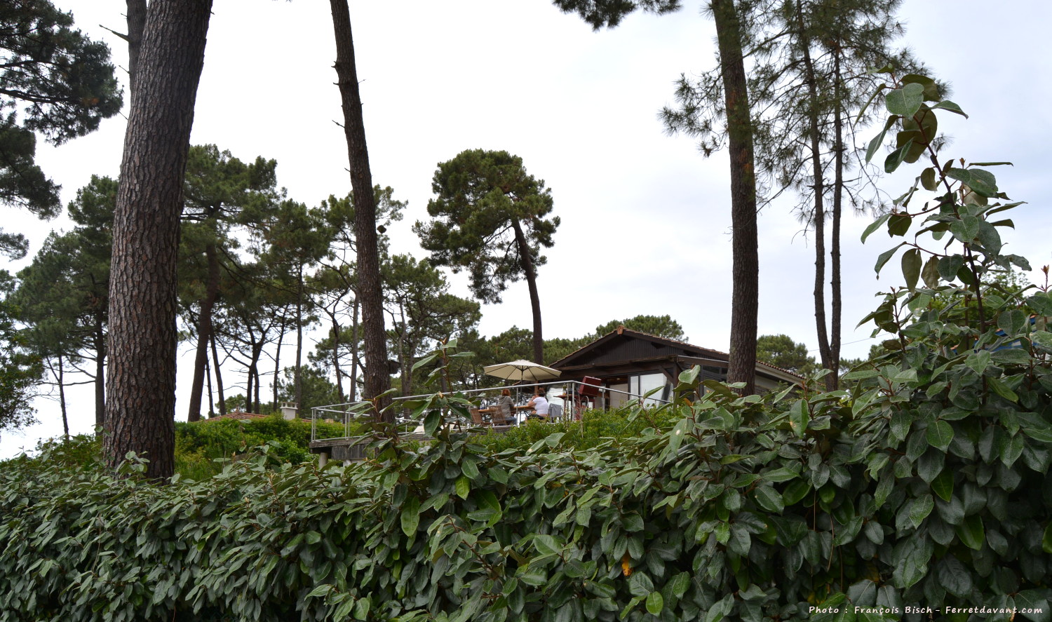 Villa de Lège Cap Ferret