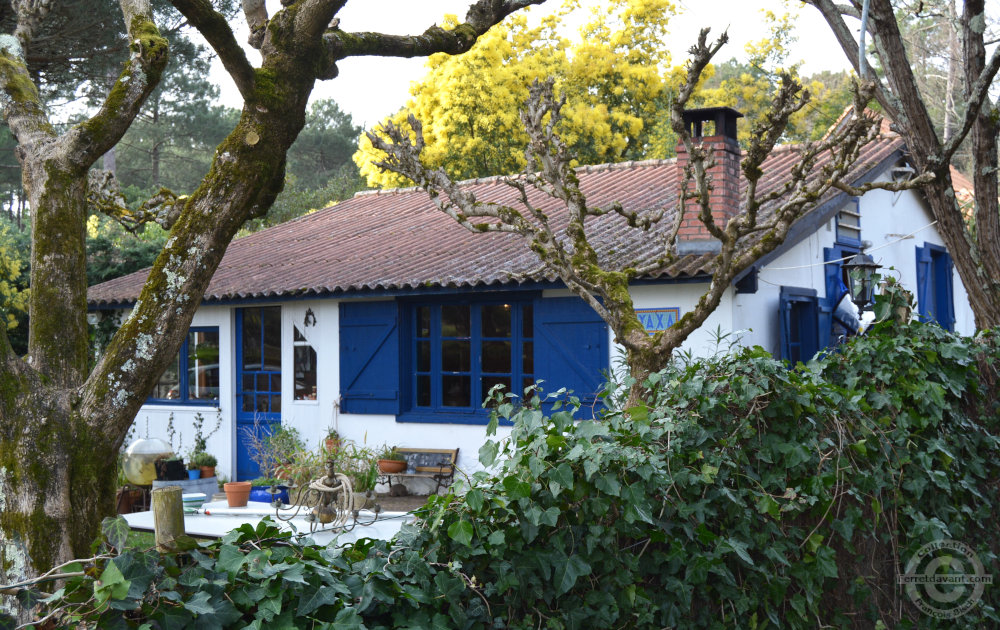 Villa de Lège Cap Ferret