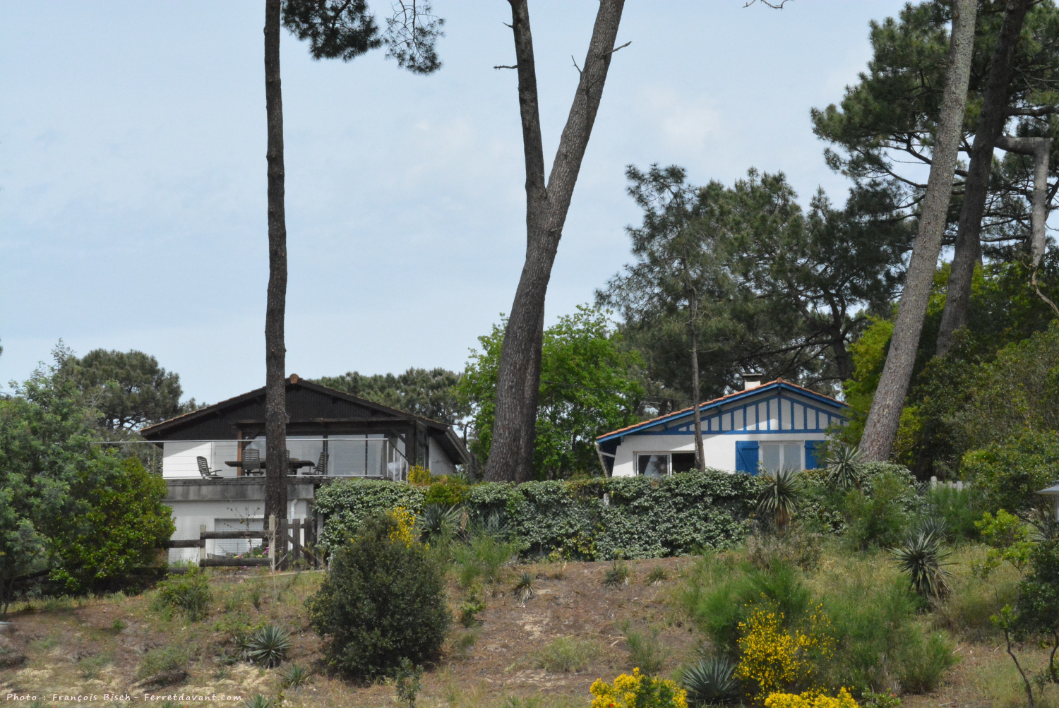 Villa de Lège Cap Ferret
