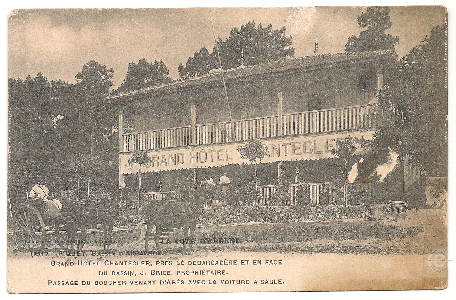 Lège Cap Ferret - grand-piquey