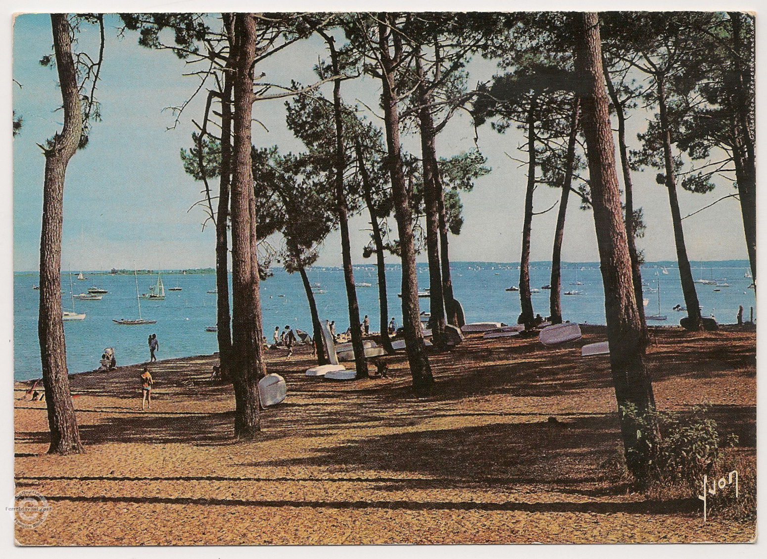 Lège Cap Ferret