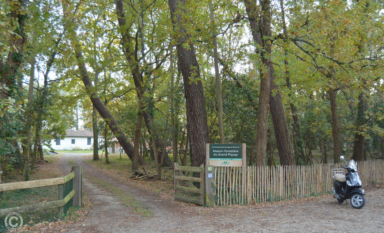 Lège Cap Ferret