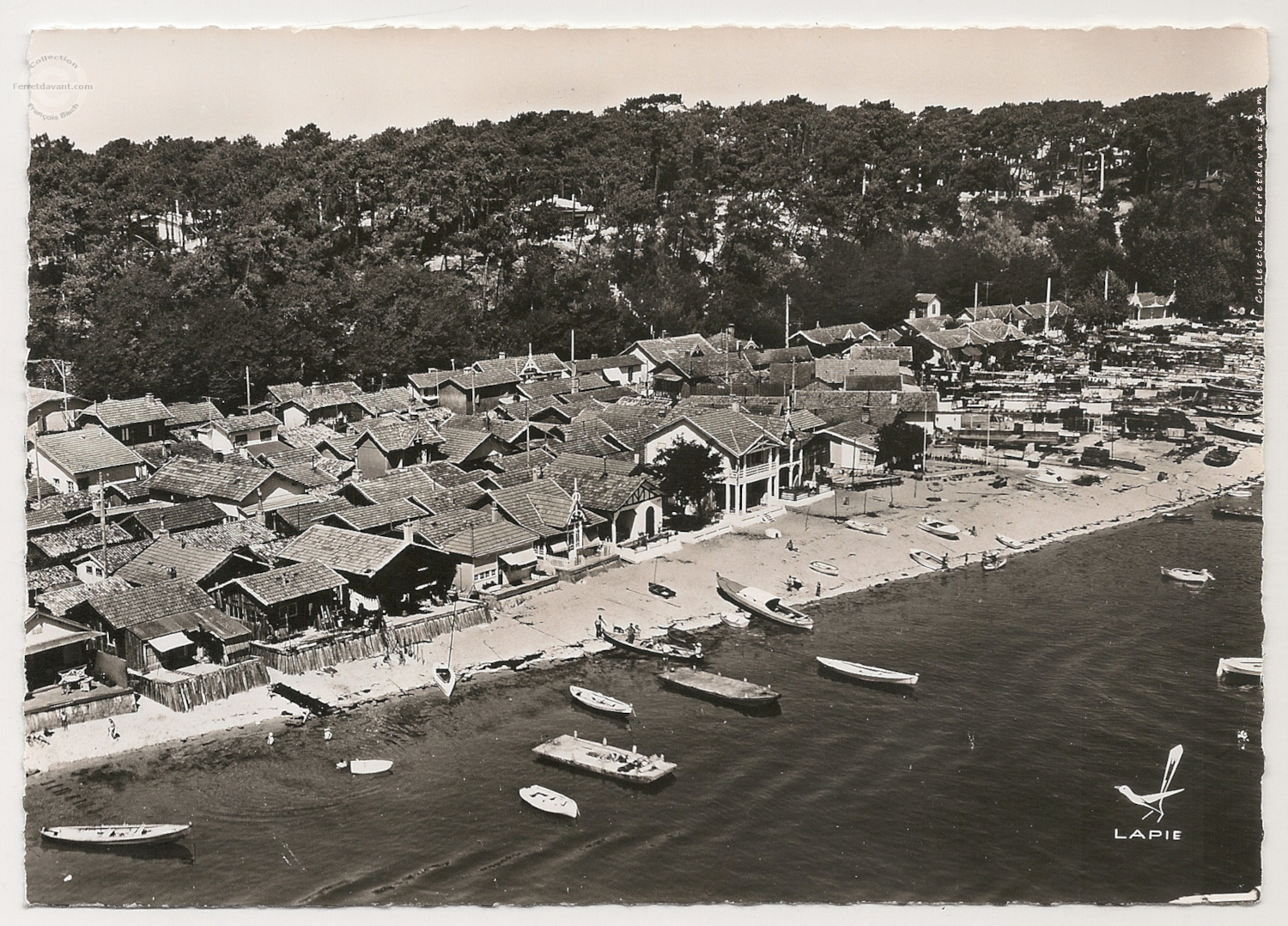 Lège Cap Ferret - l-herbe