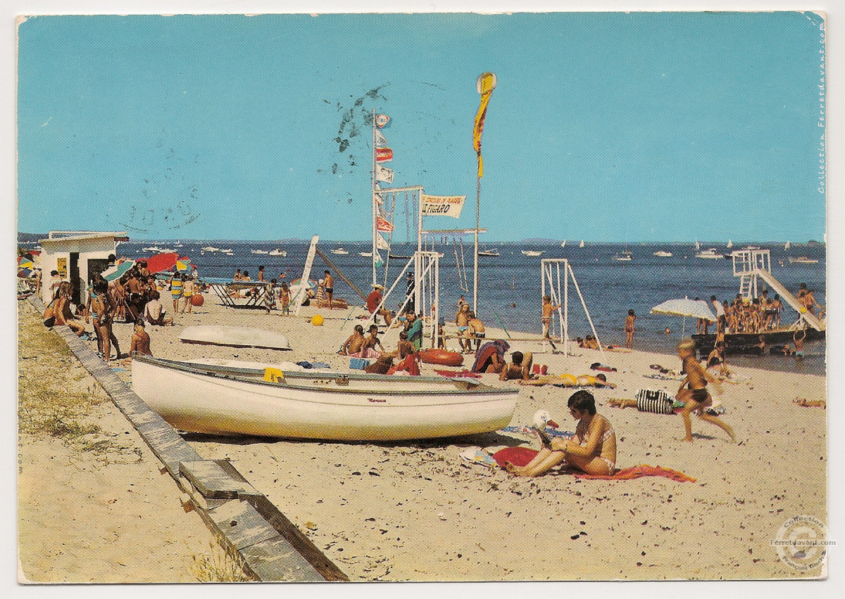 Lège Cap Ferret - l-herbe