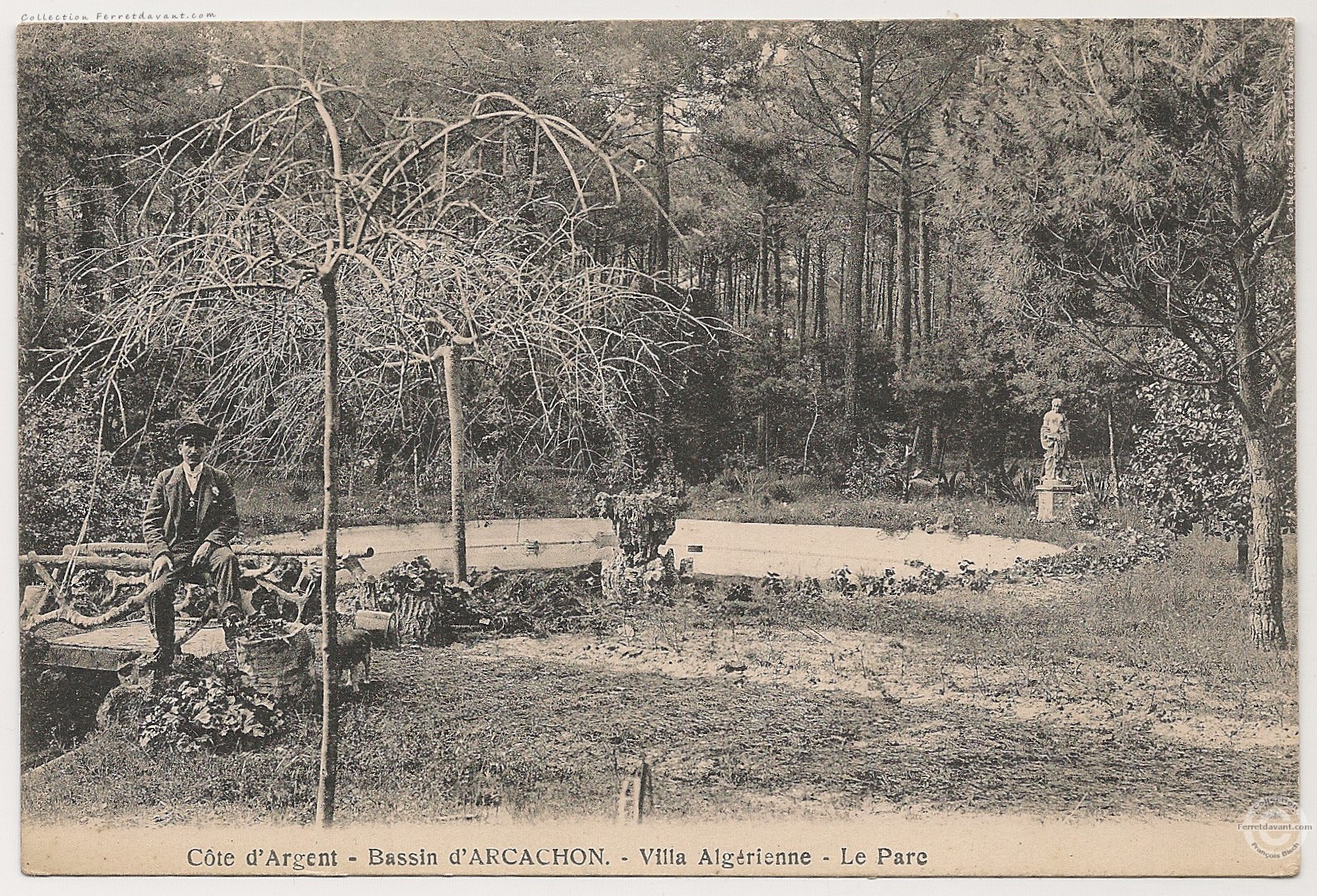 Lège Cap Ferret - l-herbe